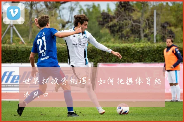 世界杯投资机遇:如何把握体育经济风口