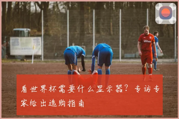 看世界杯需要什么显示器?专访专家给出选购指南