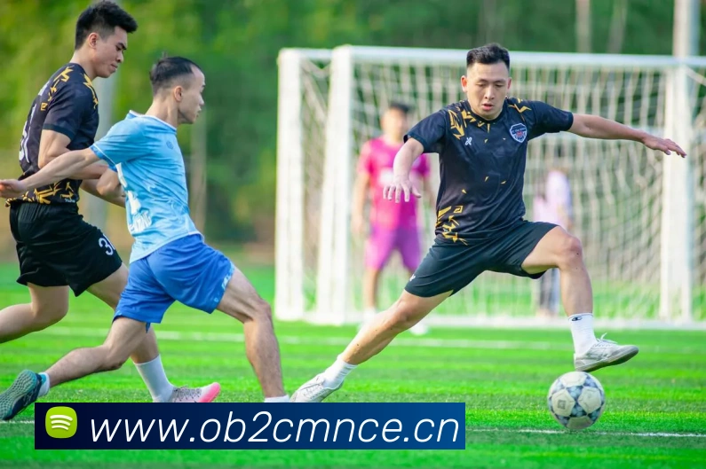 星空体育综合平台服务体系